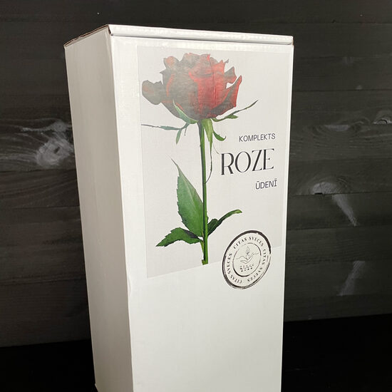 Sarkana roze ūdenī (ar defektu)